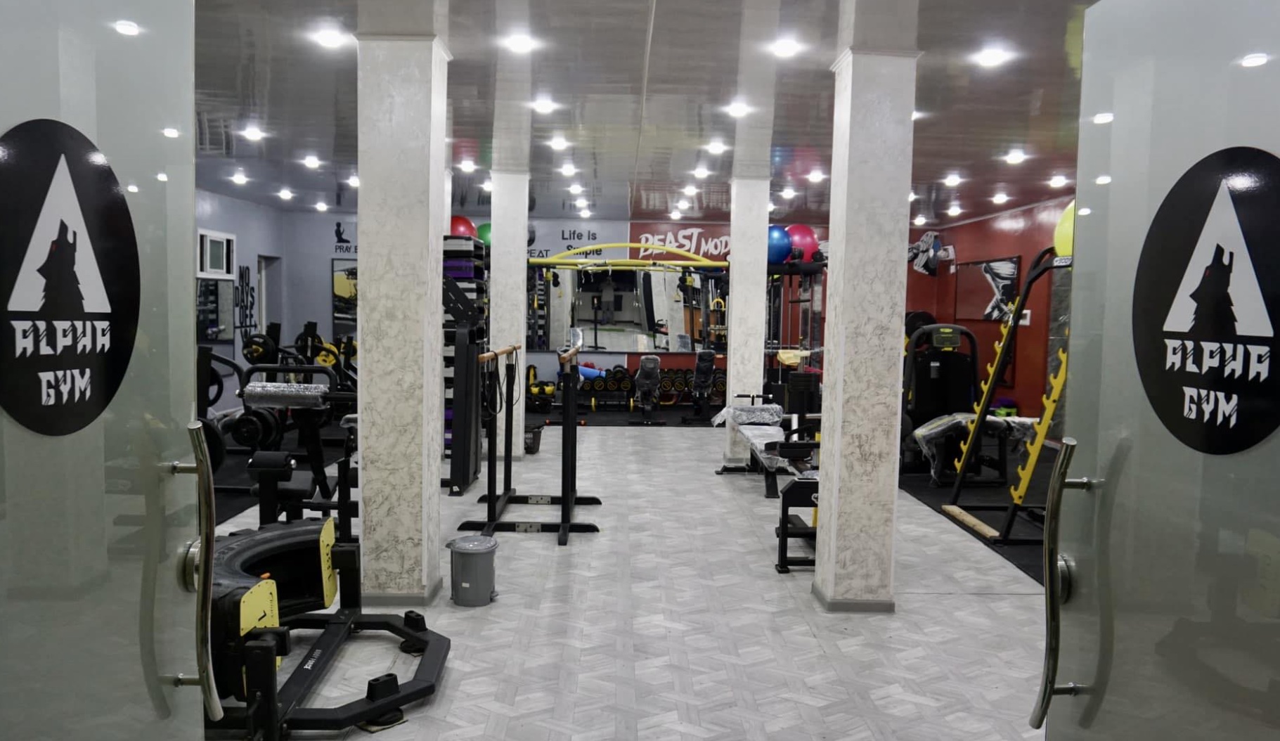 Alpha Gym