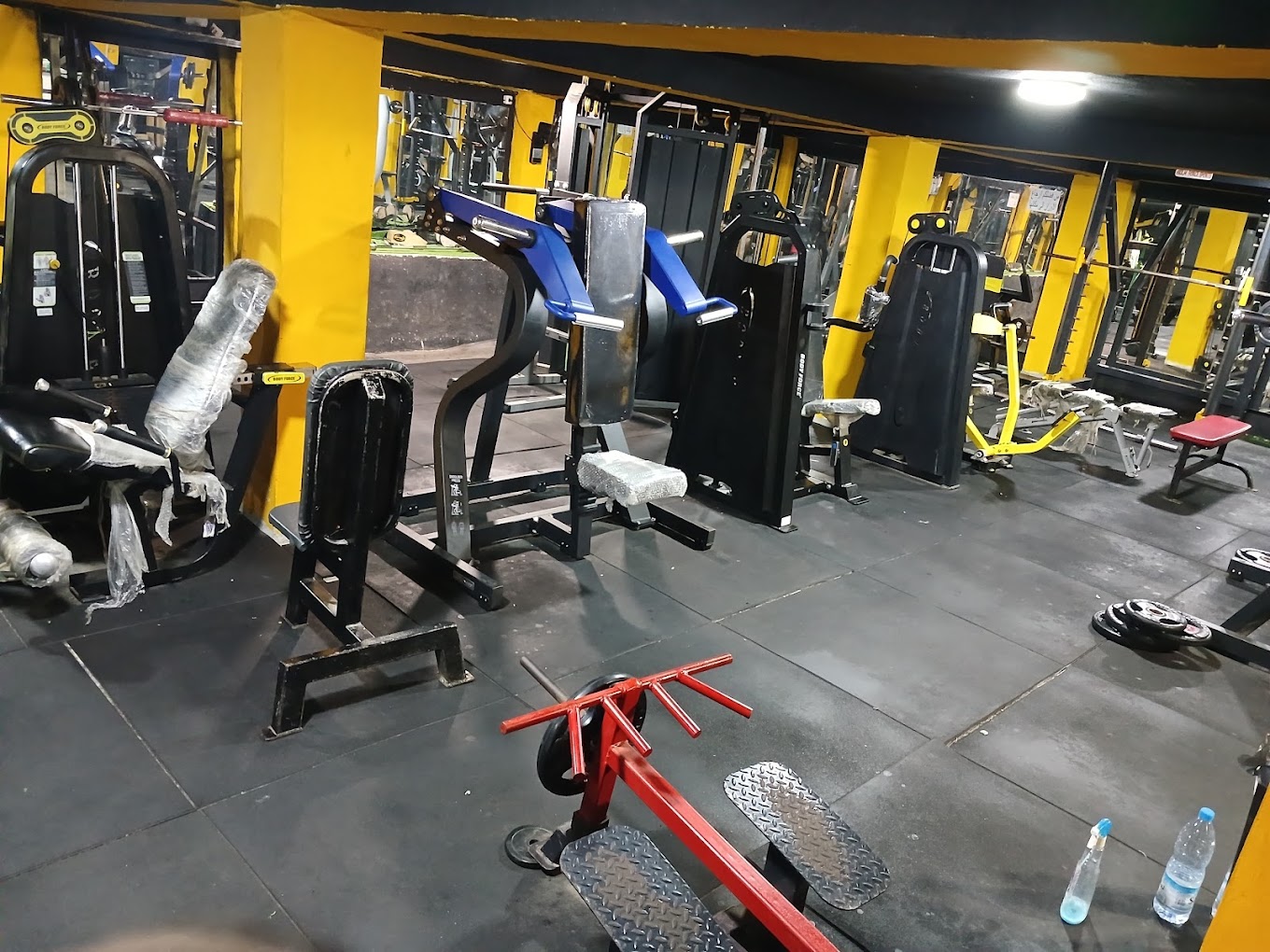 Kamel Gym