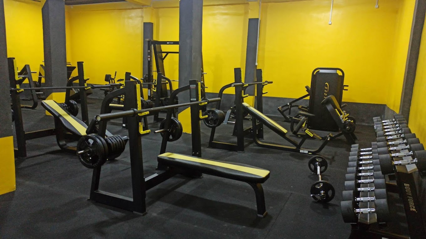 King Gym